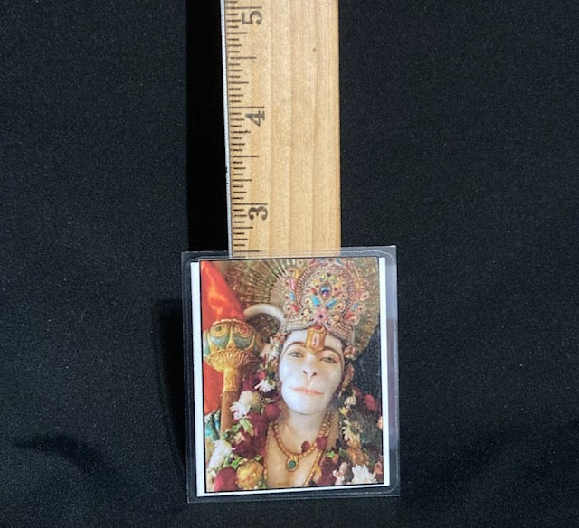 Neem Karoli Baba & Taos Hanuman Wallet Card