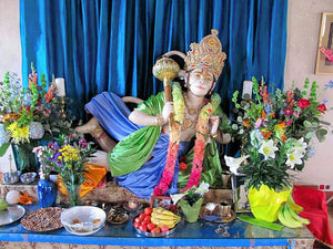 Hanuman Jayanti 2010 photo #104